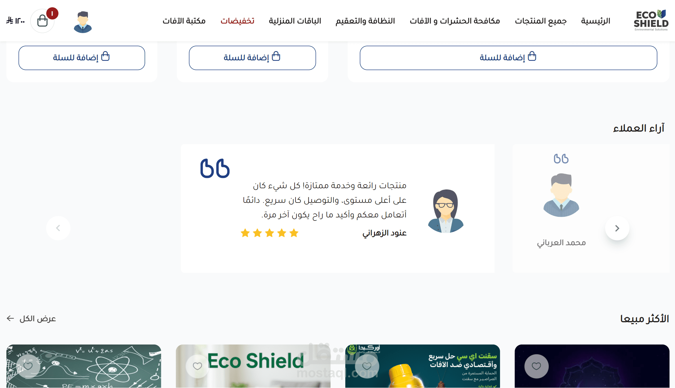 ECOOSHIELD STORE screenshot 5 - E-commerce project interface